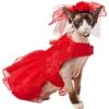 Frisco Red Ruffle Dog & Cat Dress + Headpiece