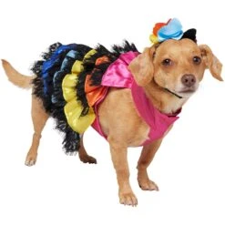 Frisco Ruffle Party Dog & Cat Dress + Headpiece -Frisco 707350 PT2. AC SS1800 V1689278779