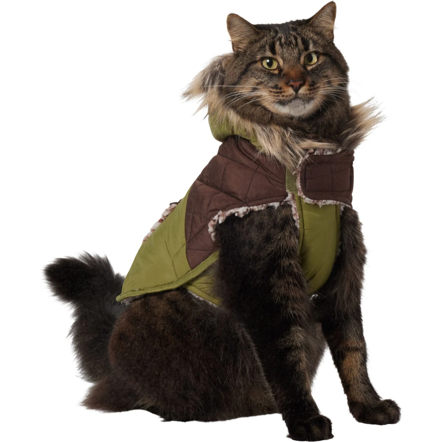 Frisco Heavy Weight 2-Tone Sherpa Lined Hybrid Quilted Dog & Cat Parka 3 Frisco Heavy Weight 2-Tone Sherpa Lined Hybrid Quilted Dog & Cat Parka