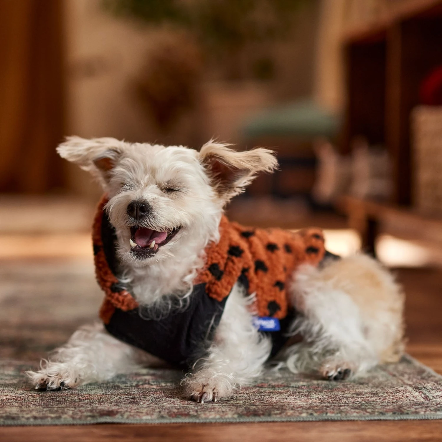 Frisco Dotted Dog & Cat Hoodie 10 Frisco Dotted Dog & Cat Hoodie - Image 8