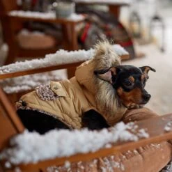 Frisco Heavy Weight Matte Quilted Dog & Cat Parka With Cozy Fleece Lining 18 Frisco Heavy Weight Matte Quilted Dog & Cat Parka With Cozy Fleece Lining -Frisco 719654 PT7. AC SS1800 V1692376037