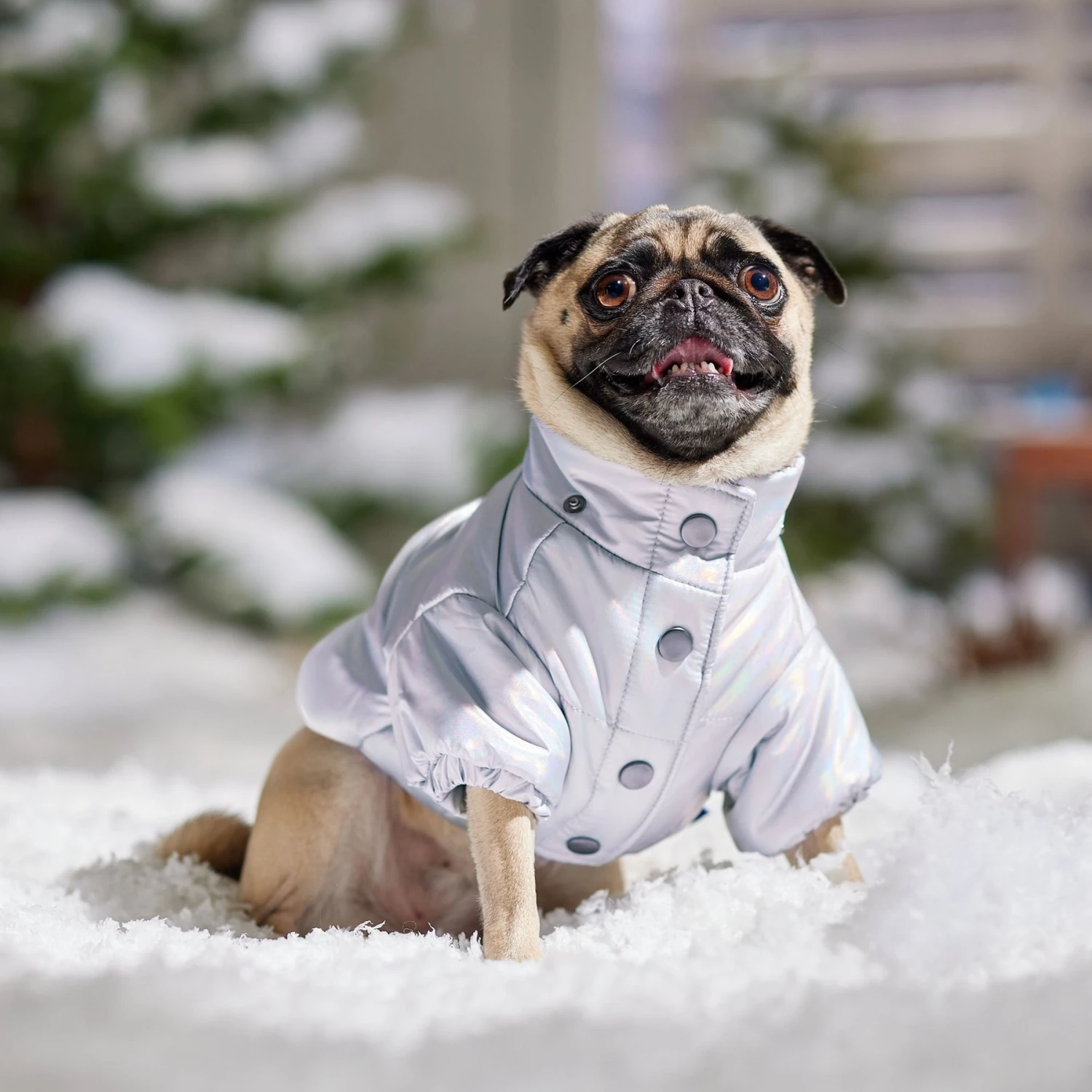 Frisco Heavy Weight Iridescent Quilted Dog & Cat Hooded Puffer Coat 10 Frisco Heavy Weight Iridescent Quilted Dog & Cat Hooded Puffer Coat - Image 8