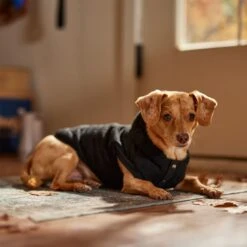 Frisco Quilted Fleece Dog & Cat Pullover Hoodie -Frisco 721030 PT7. AC SS1800 V1692378399