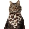 Frisco Leopard Faux Fur Dog & Cat Bandana 1 Frisco Leopard Faux Fur Dog & Cat Bandana -Frisco 733894 MAIN. AC SS1800 V1692379950