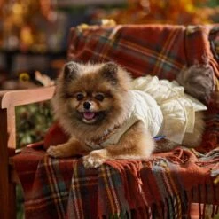 Frisco Medium Weight Quilted Ruffle Tiered Dog & Cat Dress -Frisco 744262 PT7. AC SS1800 V1693401666