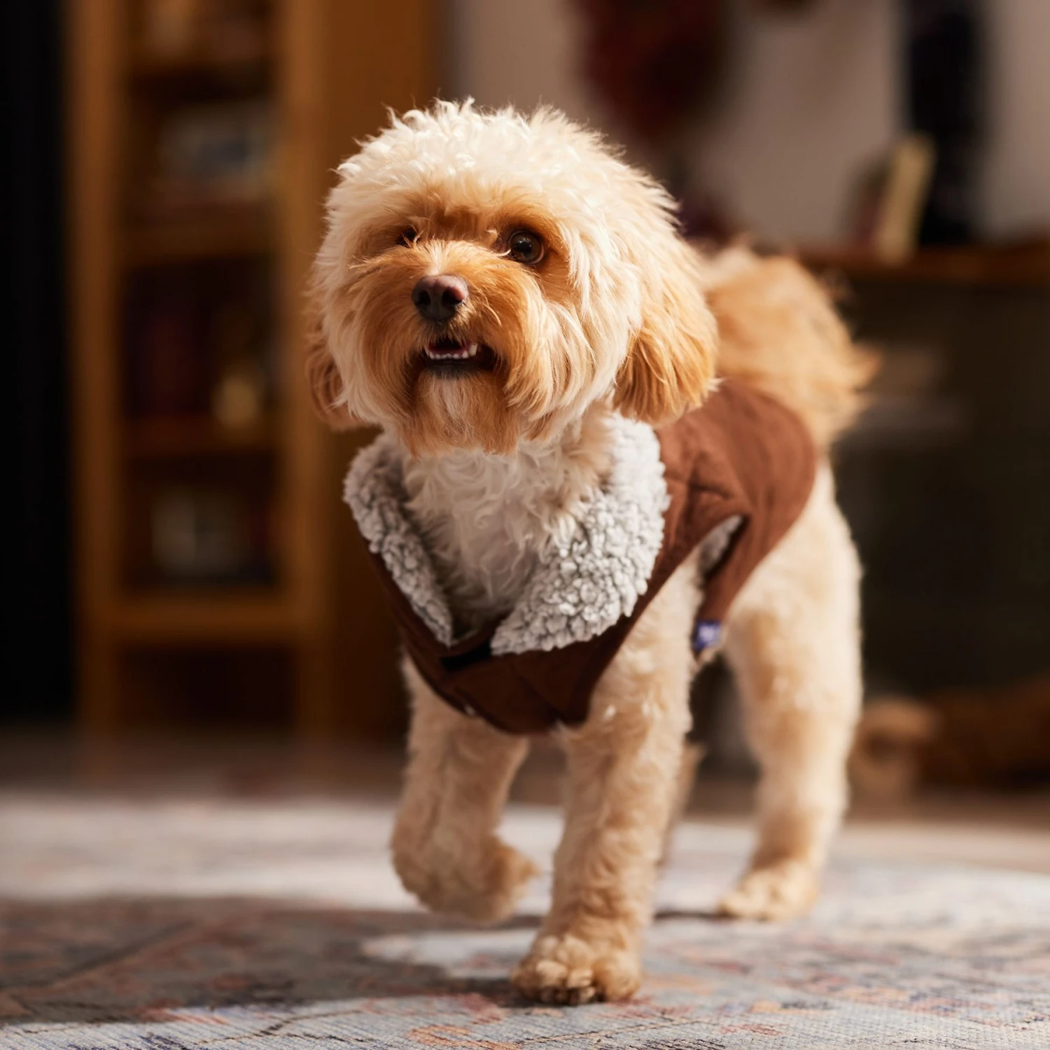 Frisco Medium Weight Quilted Dog & Cat Coat With Cozy Sherpa Lining 10 Frisco Medium Weight Quilted Dog & Cat Coat With Cozy Sherpa Lining - Image 8