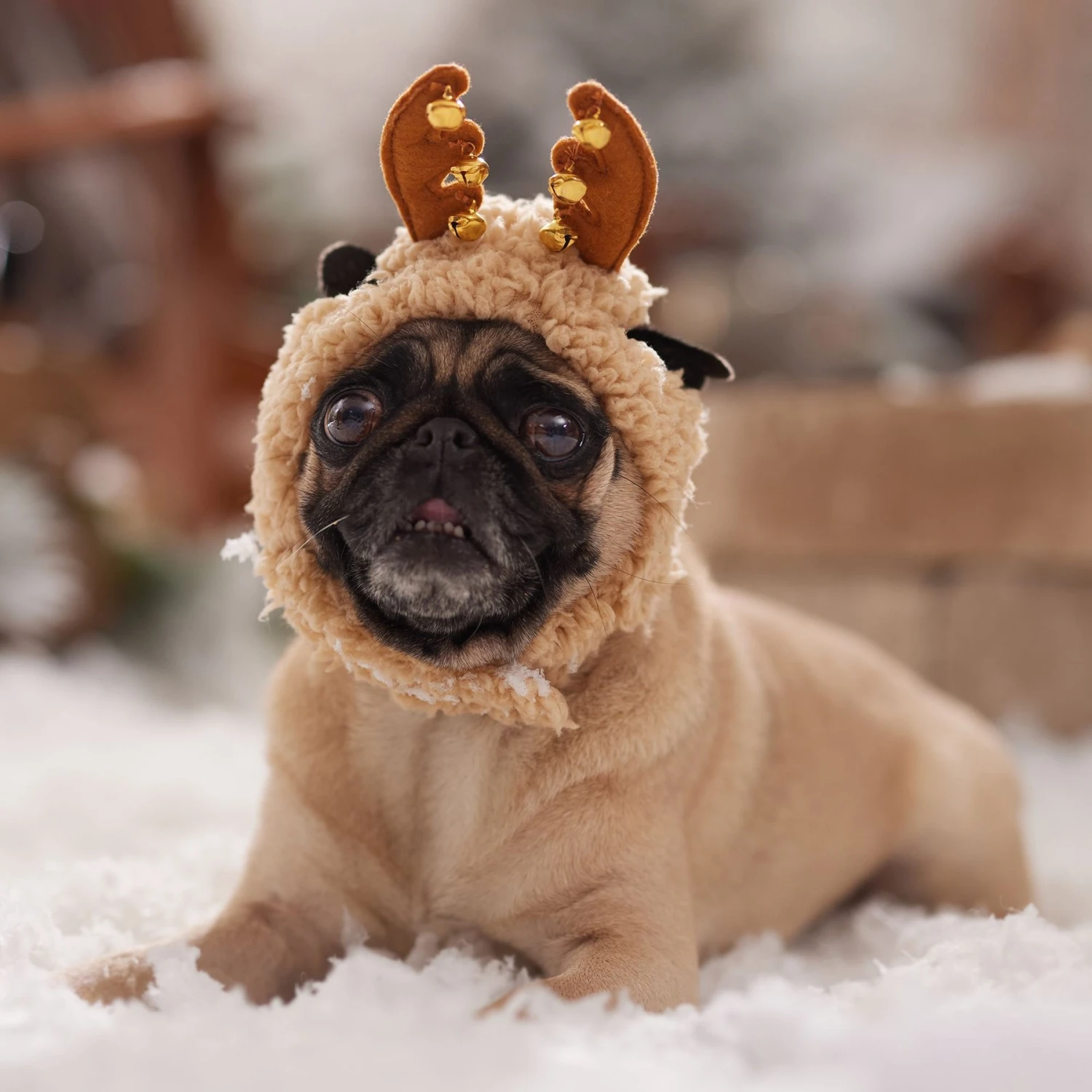 Frisco Sherpa Reindeer Dog & Cat Hat With Bells 8 Frisco Sherpa Reindeer Dog & Cat Hat With Bells - Image 6